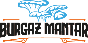 Burgaz Mantar